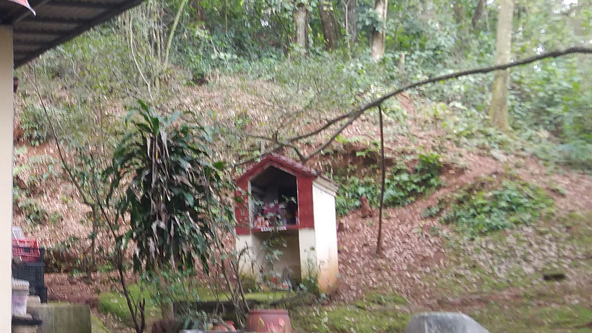 A.06_Trước Ban Cậu Bé.jpg